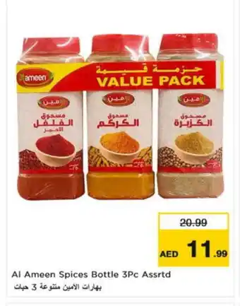 Nesto AL AMEEN Spices / Masala offer
