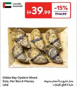 E City Dibba Bay Oysters Mixed Size offer