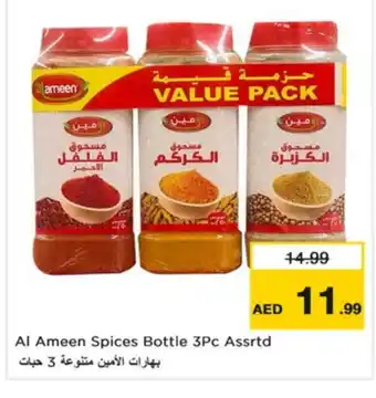Nesto AL AMEEN Spices / Masala offer