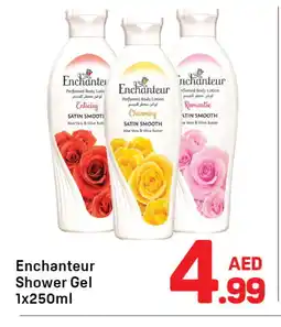 Day To Day Enchanteur Shower Gel offer