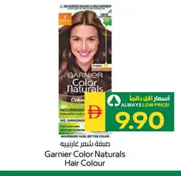 Spar GARNIER Hair Colour offer