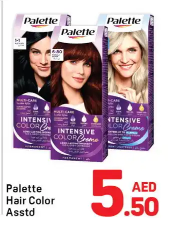 Day To Day PALETTE Hair Colour offer