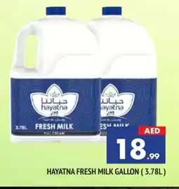 Al Madina HAYATNA Fresh Milk offer