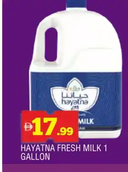 Al Madina HAYATNA Fresh Milk offer
