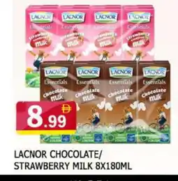 Al Madina LACNOR Flavoured Milk offer