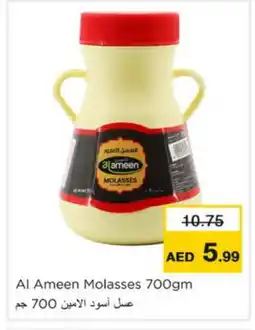 Nesto AL AMEEN Honey offer