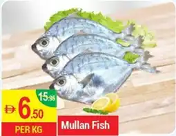 New W Mart Mullan Fish offer