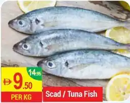 New W Mart Scad / Tuna Fish offer