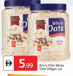 Talal Market BERRY HILLS Oats offer