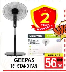 Friday Center GEEPAS Fan offer