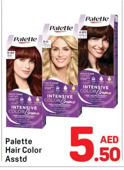 Day To Day PALETTE Hair Colour offer