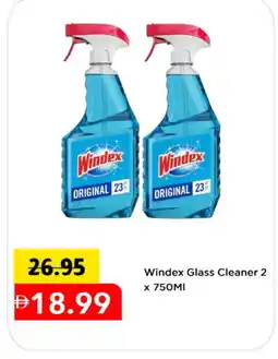Mark & Save WINDEX Glass Cleaner offer
