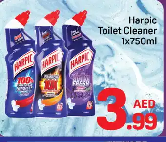 Day To Day HARPIC Toilet / Drain Cleaner offer