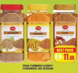 Al Madina PRAN Spices / Masala offer