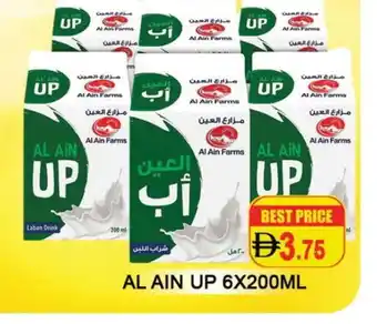 Al Madina AL AIN Laban offer