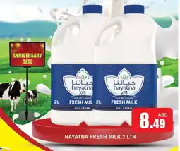 Al Madina HAYATNA Full Cream Milk offer
