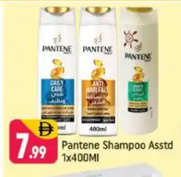 Shaklan PANTENE Shampoo / Conditioner offer