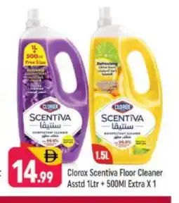 Shaklan CLOROX General Cleaner offer