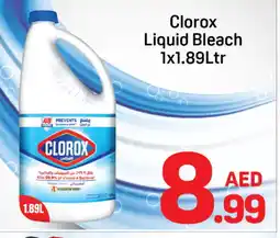 Day To Day CLOROX Bleach offer