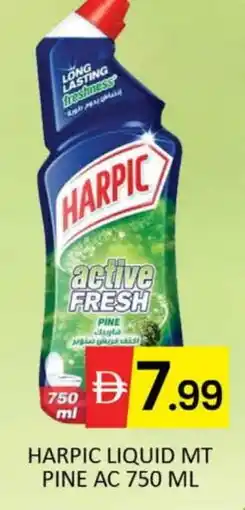 Mango Hypermarket LLC HARPIC Toilet / Drain Cleaner offer