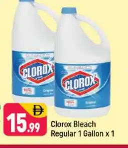 Shaklan CLOROX Bleach offer