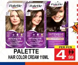 Friday Center PALETTE Hair Cream offer