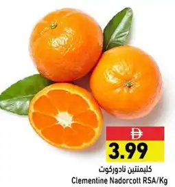 Ramez Clementine Nadorcott RSA offer