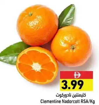 Ramez Clementine Nadorcott RSA offer