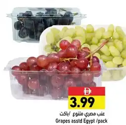 Ramez Grapes asstd offer