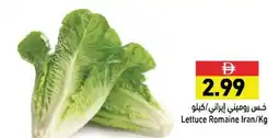 Ramez Lettuce romaine offer