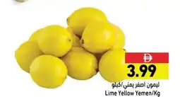 Ramez Lime yellow offer