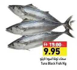 Ramez Tuna Black Fish offer