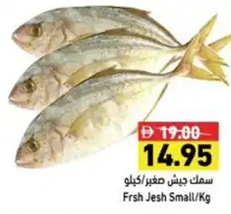 Ramez Frsh Jesh Small offer