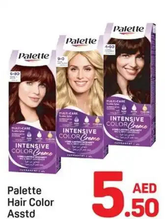 Day To Day Palette Hair Color Asstd offer