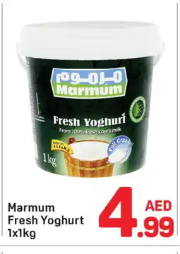 Day To Day MARMUM Yoghurt offer