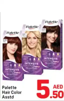 Day To Day Palette Hair Color offer