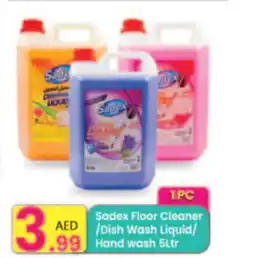 Everyday Center Sadex Floor Cleaner Dish Wash Liquid Hand wash offer