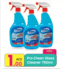 Everyday Center Pro Clean Glass Cleaner offer