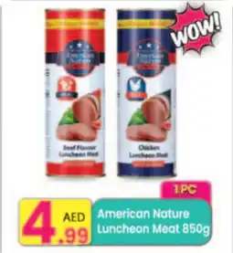 Everyday Center American Nature Luncheon Meat offer