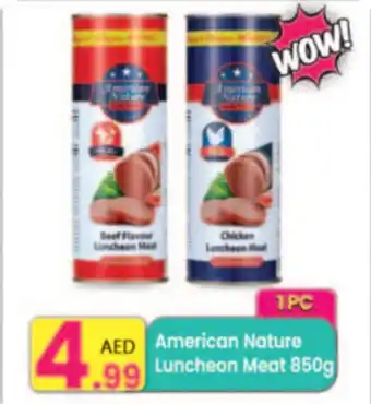 Everyday Center American Nature Luncheon Meat offer