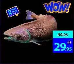 Ajman Market Fresh salmon whole 2/3 norway offer