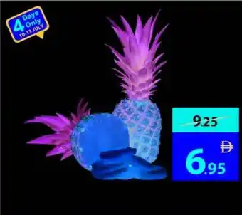 Ajman Market Pineapple philippines offer