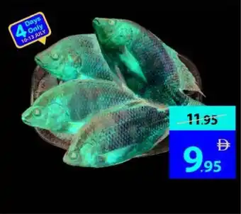 Ajman Market Fresh tilapia egypt offer