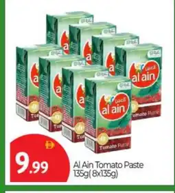 Bigmart AL AIN Tomato Paste offer