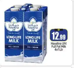 Bigmart HAYATNA Full Cream Milk offer