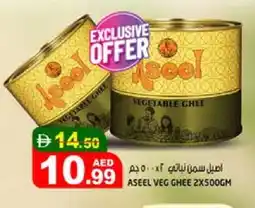 Hashim Hypermarket ASEEL Vegetable Ghee offer