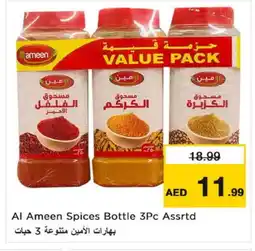 Nesto AL AMEEN Spices / Masala offer