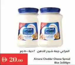 Istanbul Supermarket Almarai Cheddar Cheese Spread Blue offer