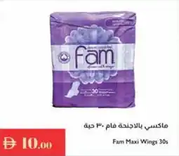 Istanbul Supermarket Fam Maxi Wings offer