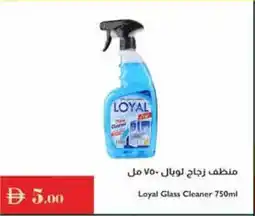 Istanbul Supermarket Loyal Glass Cleaner offer